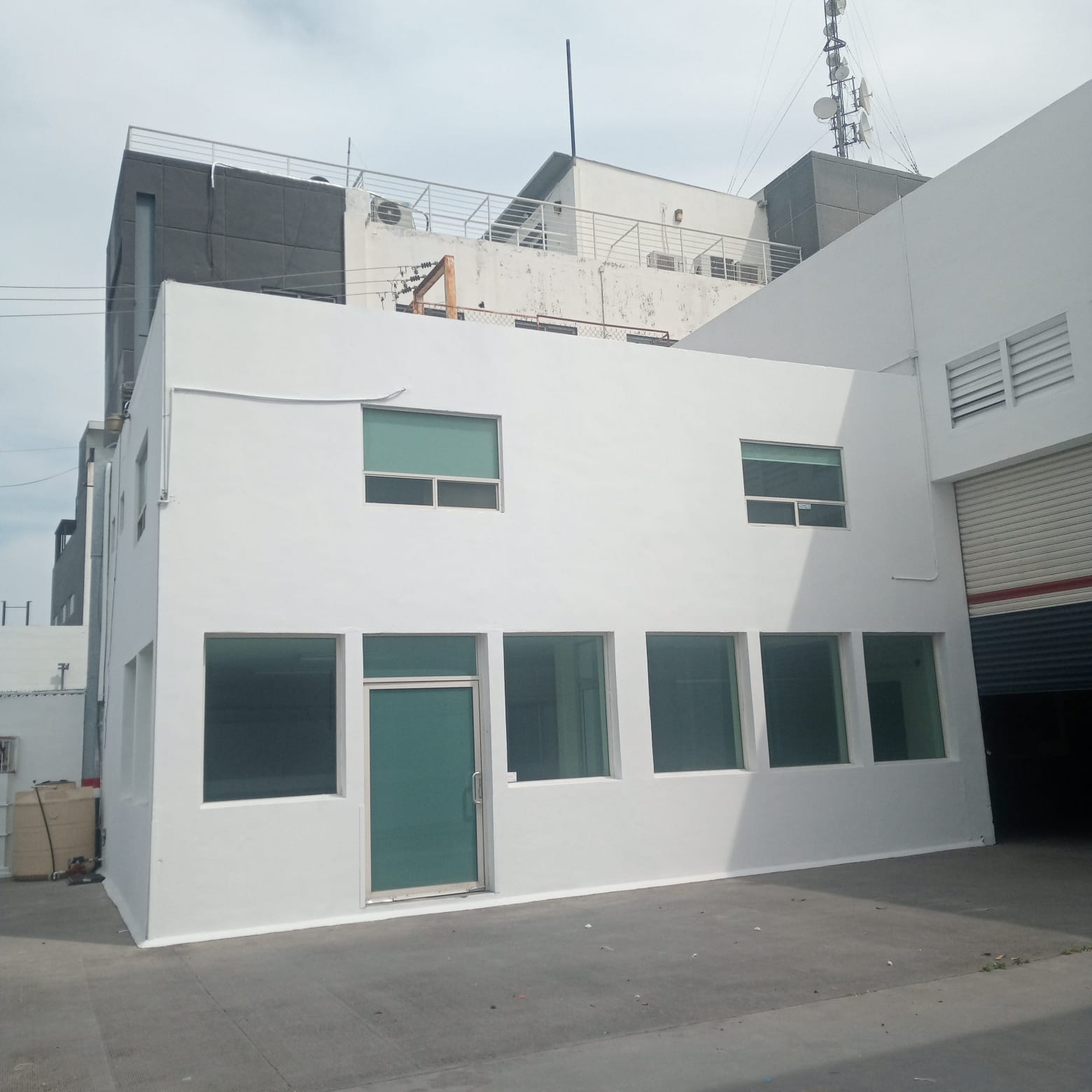 Proyecto 11