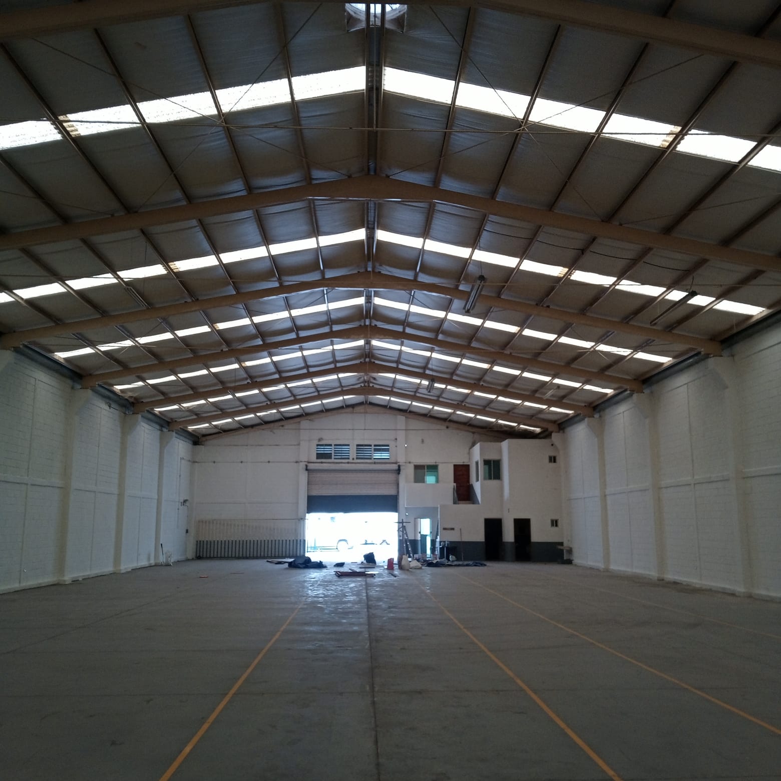 Proyecto 8