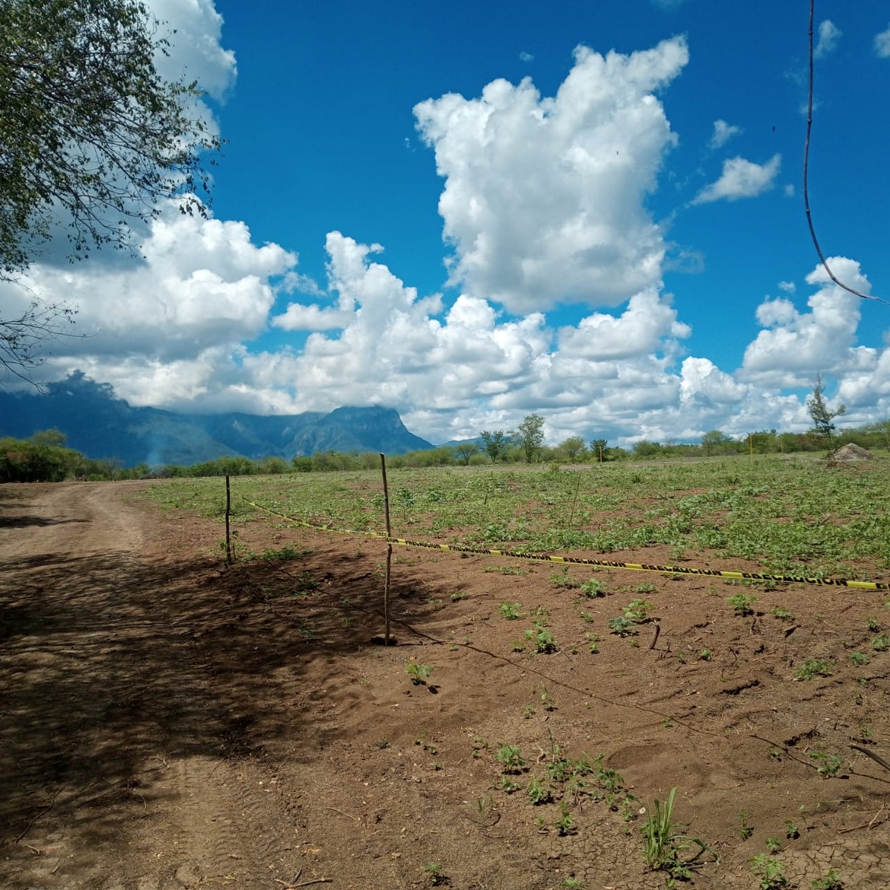 Terreno 7
