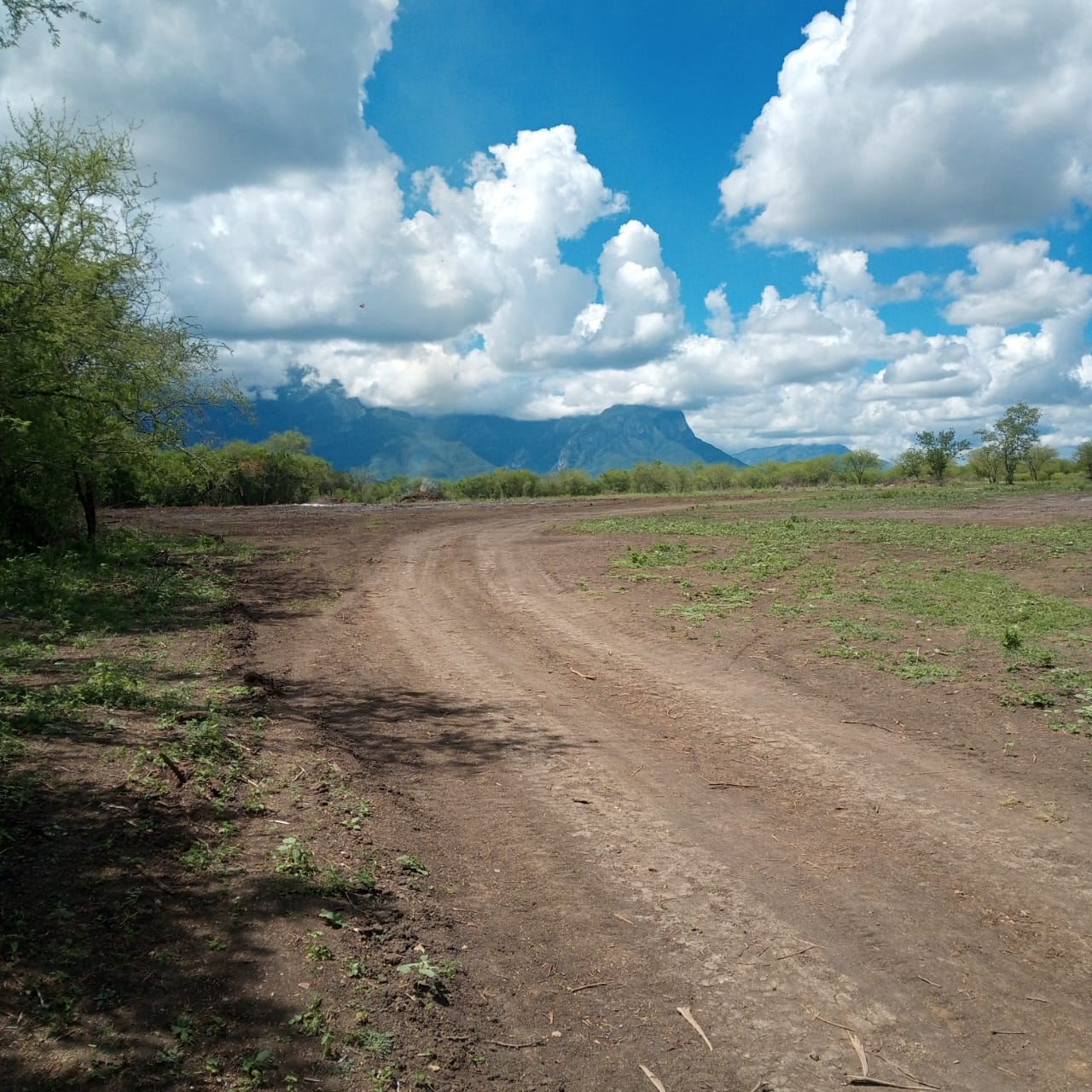 Terreno 8